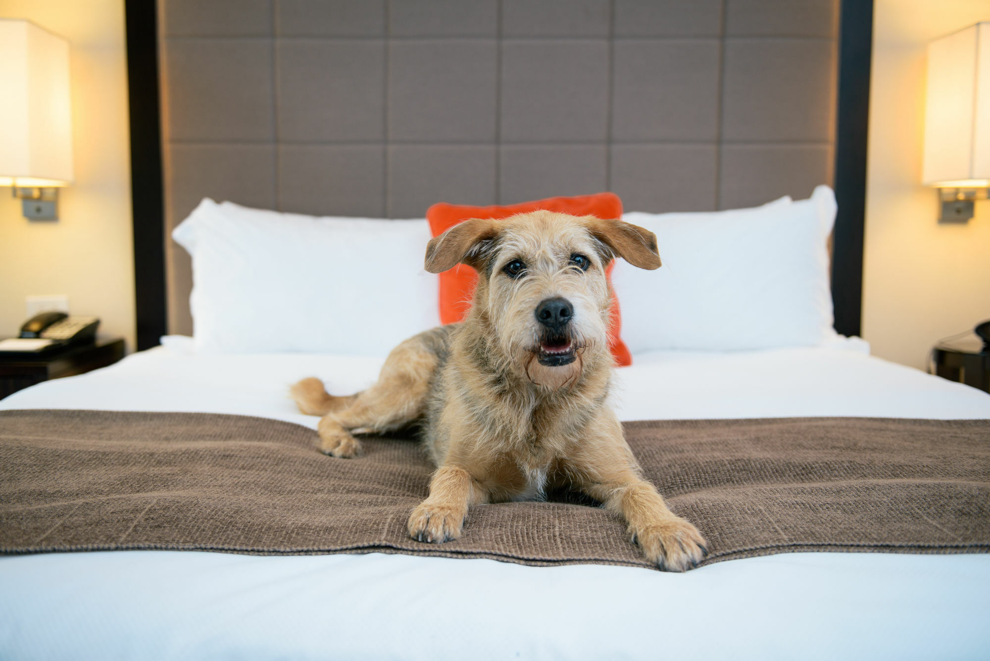 Candlewood Suites - Bluffton-Hilton Head By Ihg Экстерьер фото